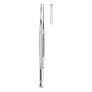 Taylor Tissue Forceps 18 0 cm, 1 x 2 Teeth