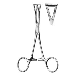 Collin Tissue and Organ Holding Forceps 14 0 cm