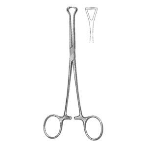 Petit Point Babcock Artery Forceps 16 0 cm, Jaw Width 7 5 mm