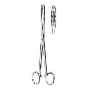 Gross Maier Dressing Forceps 25 0 cm, Straight