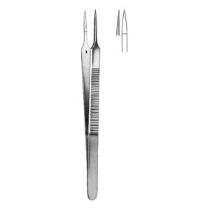 Dissecting Forceps 15 0 cm, Carb Bite, Smooth