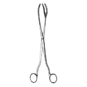 Sterilizing Forceps 30 0 cm