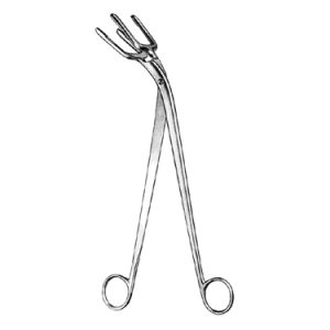 Pye Smith (Harrison) Sterilizing Forceps 30 0 cm