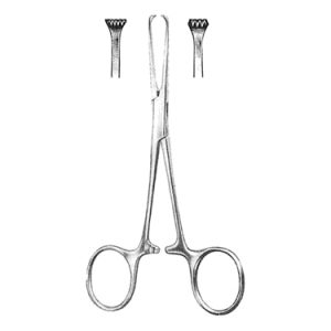 Allis Baby Intestinal Tissue Forceps 12 0 cm, 4 x 5 Teeth