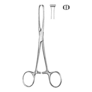 Allis Intestinal Tissue Forceps 15 0 cm, 4 x 5 Teeth