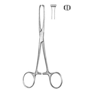 Allis Intestinal Tissue Forceps 25 0 cm, 5 x 6 Teeth