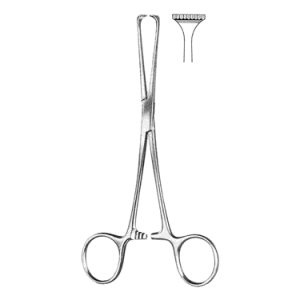 Allis Adair Intestinal Tissue Forceps 15 0 cm, 10 x 11 Teeth