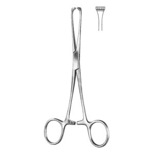 Boys Allis Intestinal Tissue Forceps 15 0 cm