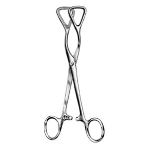 Guy Tongue Holding Forceps 19 0 cm