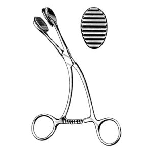 Young Tongue Holding Forceps 17 0 cm