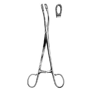 Blohmke Tonsil Seizing Forceps 20 0 cm