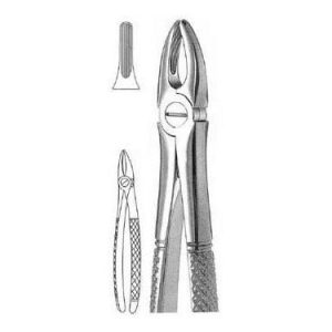 Extracting Forceps # 2, English Pattern