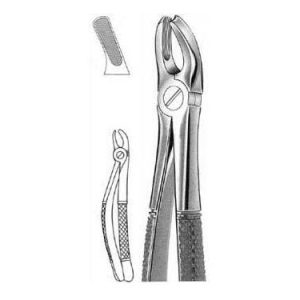 Extracting Forceps # 18, English Pattern