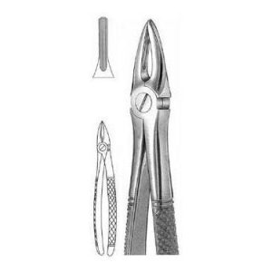 Extracting Forceps # 29, English Pattern