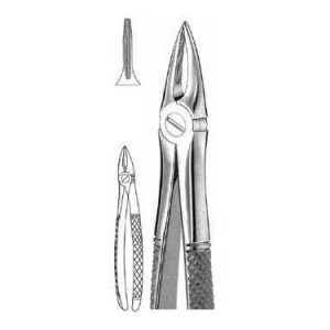Extracting Forceps # 29 N, English Pattern