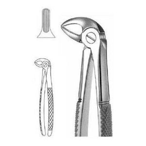 Extracting Forceps # 33, English Pattern