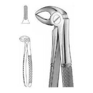 Extracting Forceps # 33 A, English Pattern
