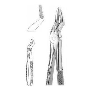 Extracting Forceps # 51, English Pattern