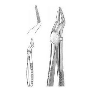 Extracting Forceps # 51 A, English Pattern