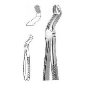 Extracting Forceps # 67, English Pattern