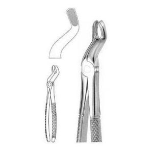 Extracting Forceps # 67, English Pattern