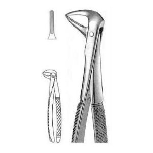 Extracting Forceps # 74 N, English Pattern