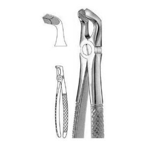 Extracting Forceps # 79, English Pattern