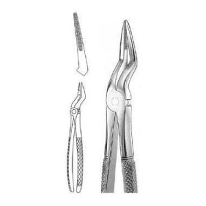 Extracting Forceps # 235, English Pattern