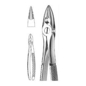 Mead Extracting Forceps # Md 1, English Pattern