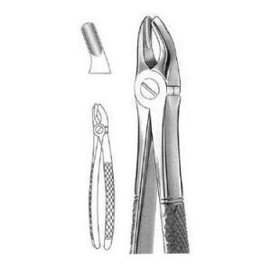 Mead Extracting Forceps # Md 2, English Pattern