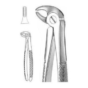 Mead Extracting Forceps # Md 3, English Pattern