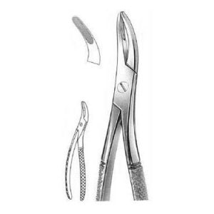 Witzel Extracting Forceps # 501, English Pattern