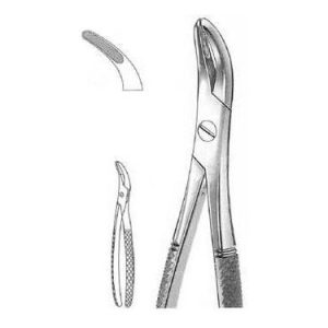 Witzel Extracting Forceps # 502, English Pattern