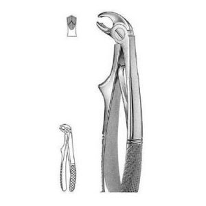 Klein Extracting Forceps # 6, English Pattern