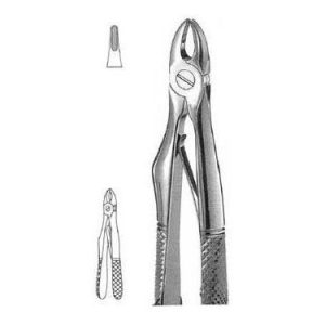 Klein Extracting Forceps # 137, English Pattern