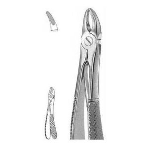 Klein Extracting Forceps # 139, English Pattern