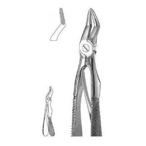 Klein Extracting Forceps # 51 S, English Pattern