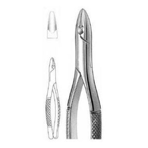 Extracting Forceps # 1, American Pattern