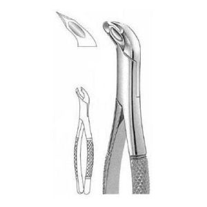 Woodward Extracting Forceps # 3 Fs, American Pattern