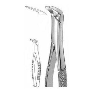 Spaltzange Extracting Forceps # 6, American Pattern