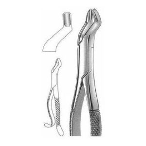 Extracting Forceps # 10 H, American Pattern