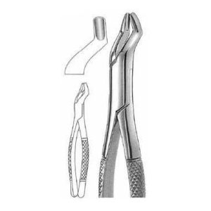 Extracting Forceps # 10 S, American Pattern