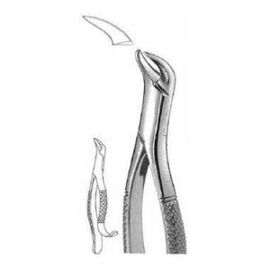 Extracting Forceps # 16 Sk, American Pattern