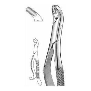 Extracting Forceps # 24, American Pattern