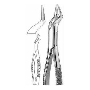 Parmly Extracting Forceps # 32 A, American Pattern