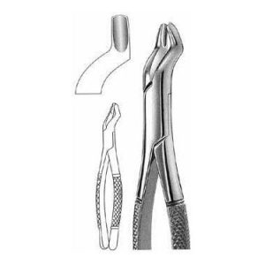 Extracting Forceps # 53 L, American Pattern