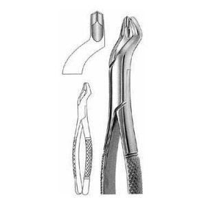 Extracting Forceps # 53 R, American Pattern