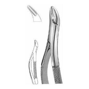 Extracting Forceps # 62, American Pattern