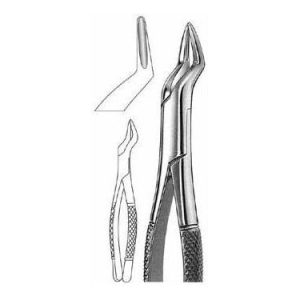 Extracting Forceps # 65, American Pattern