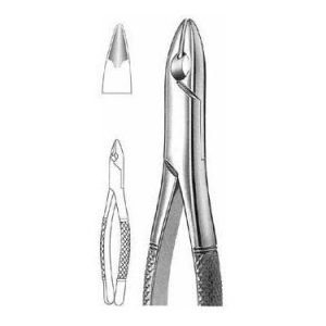 Kells Extracting Forceps # 99 C, American Pattern